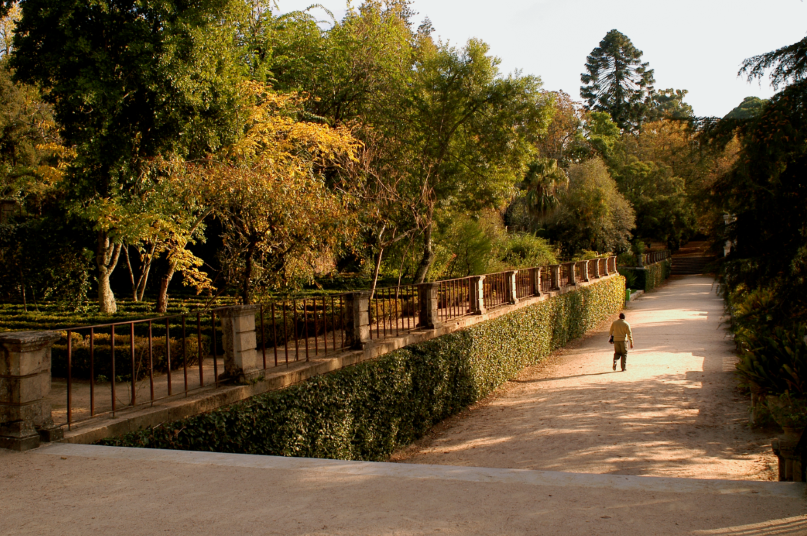 El Jardín Botánico de la Universidad de Coimbra - Coimbra | Secret World Trip Planner