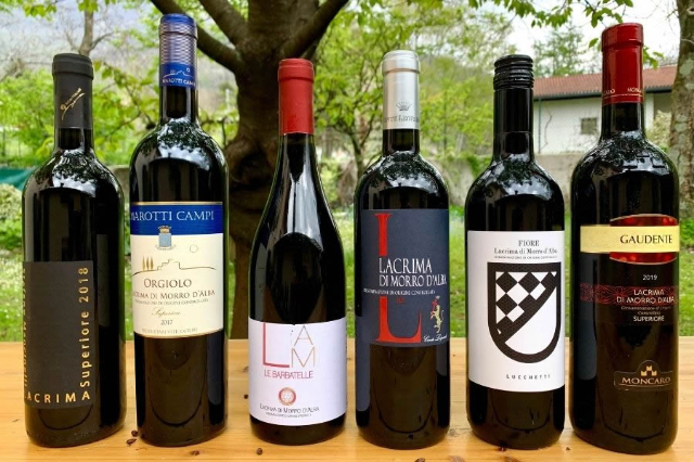 Morro d'Alba, le village du vin Lacrima - Morro d'Alba | Secret World Trip Planner