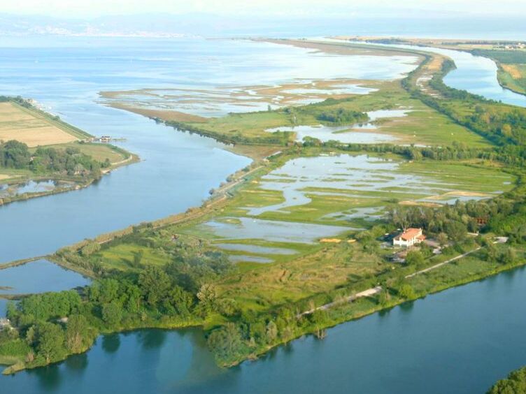 Birdwatching: Riserva della foce dell’Isonzo - Staranzano | Secret World Trip Planner