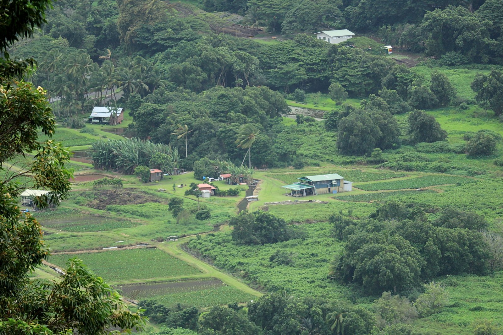 Waipi'o Valley and its black sand beach - Waipio Valley | Secret World Trip Planner