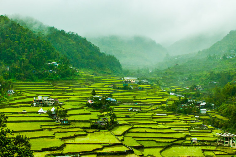 UNESCO, espectaculares terrazas de arroz en Filipinas — Banaue