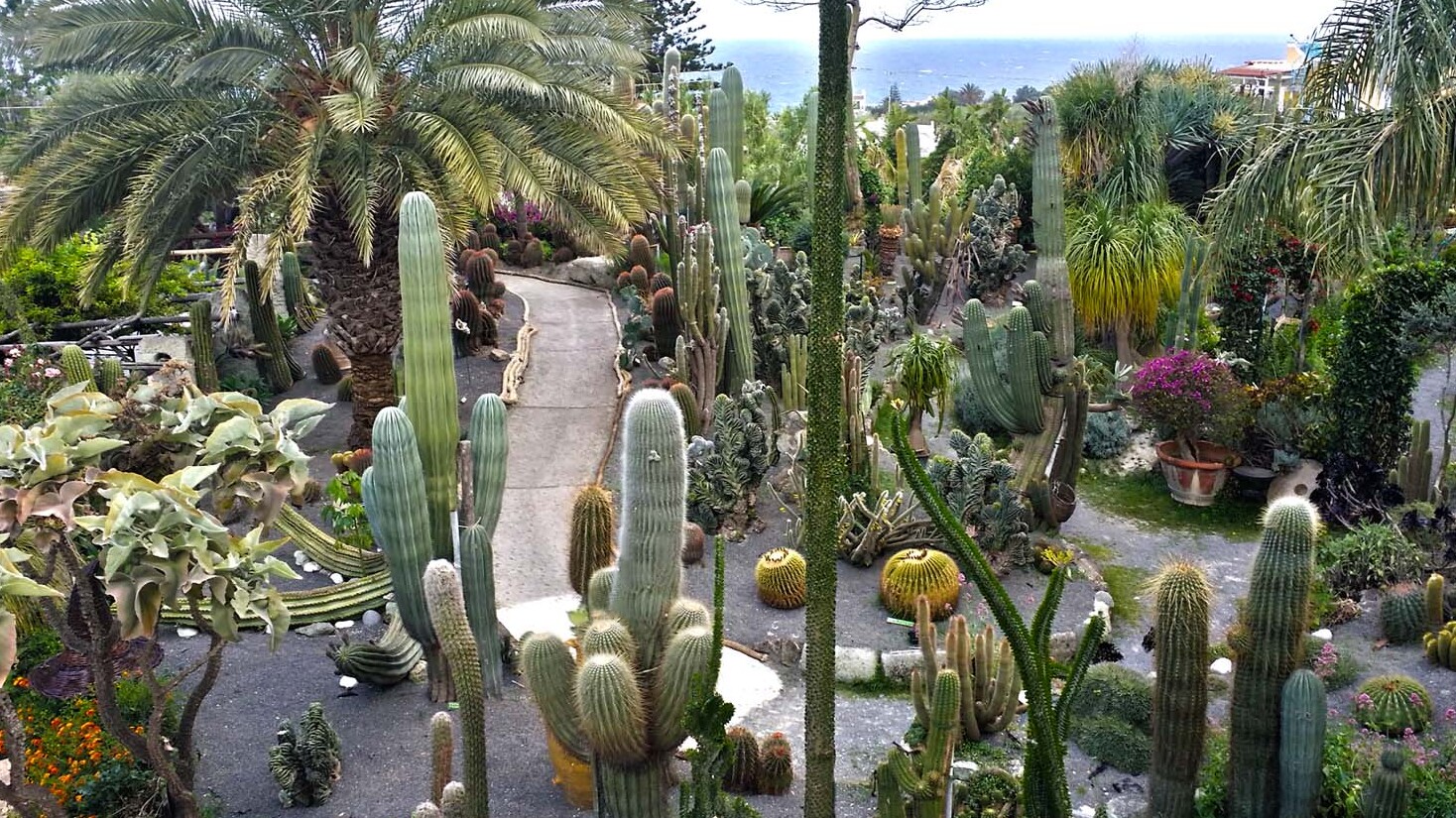 Ravino: el mayor parque de plantas suculentas de Europa - Forio | Secret World Trip Planner