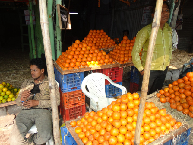 Nagpur, la ville des oranges - Nagpur | Secret World Trip Planner
