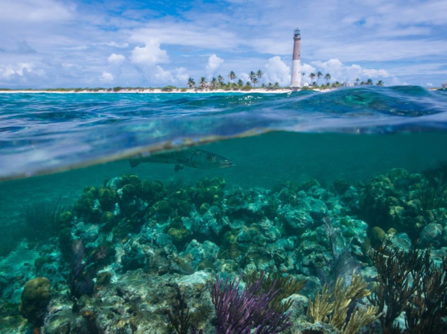 Parco nazionale di Biscayne — Florida