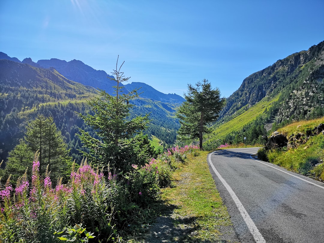 Piamonte: Harinas del Valle de Vermenagna - Valle Vermenagna | Secret World Trip Planner