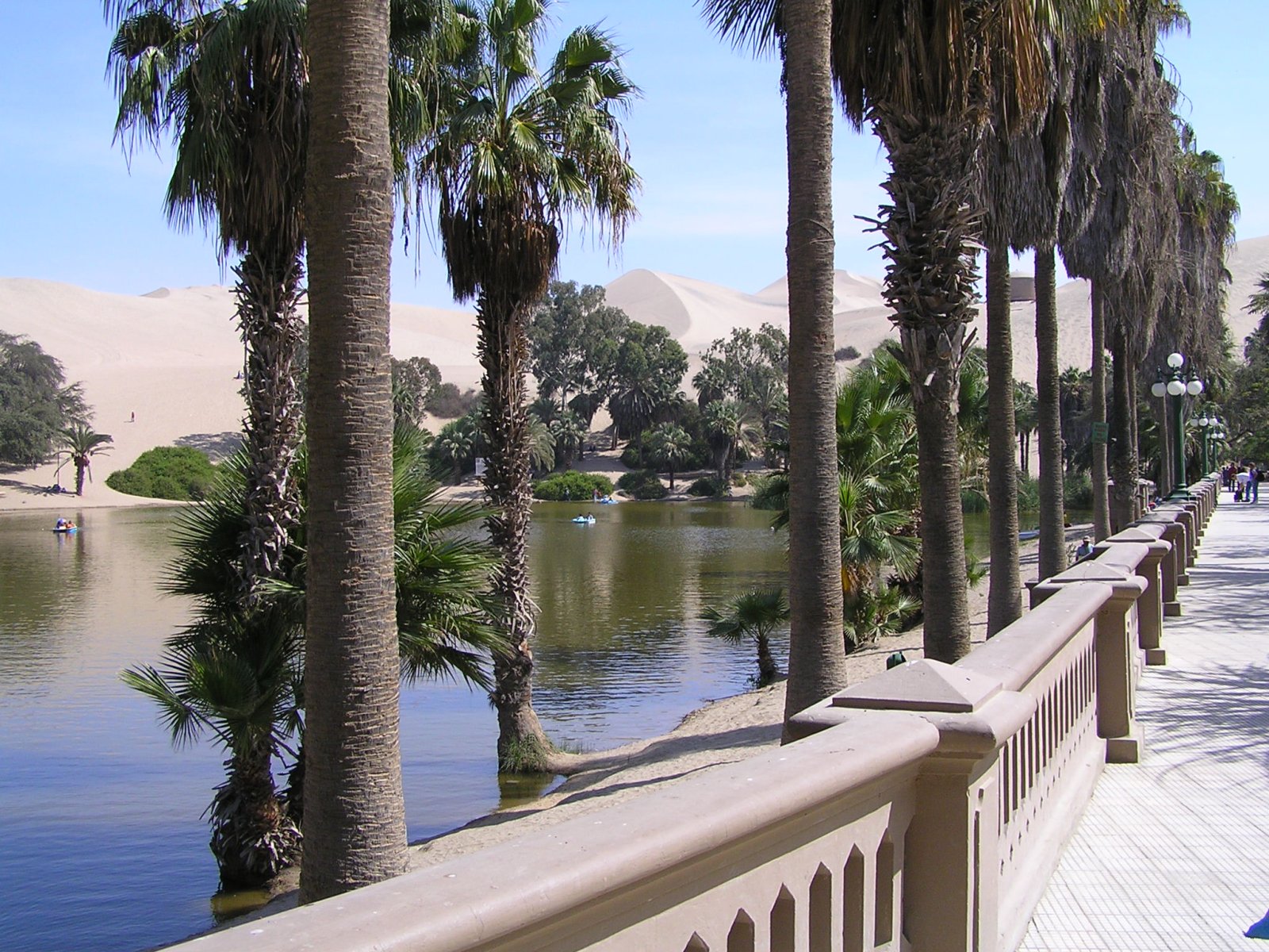 Escondite en un pequeño oasis rodeado de dunas en Huacachina, Perú
En el suroeste - Huacachina | Secret World Trip Planner