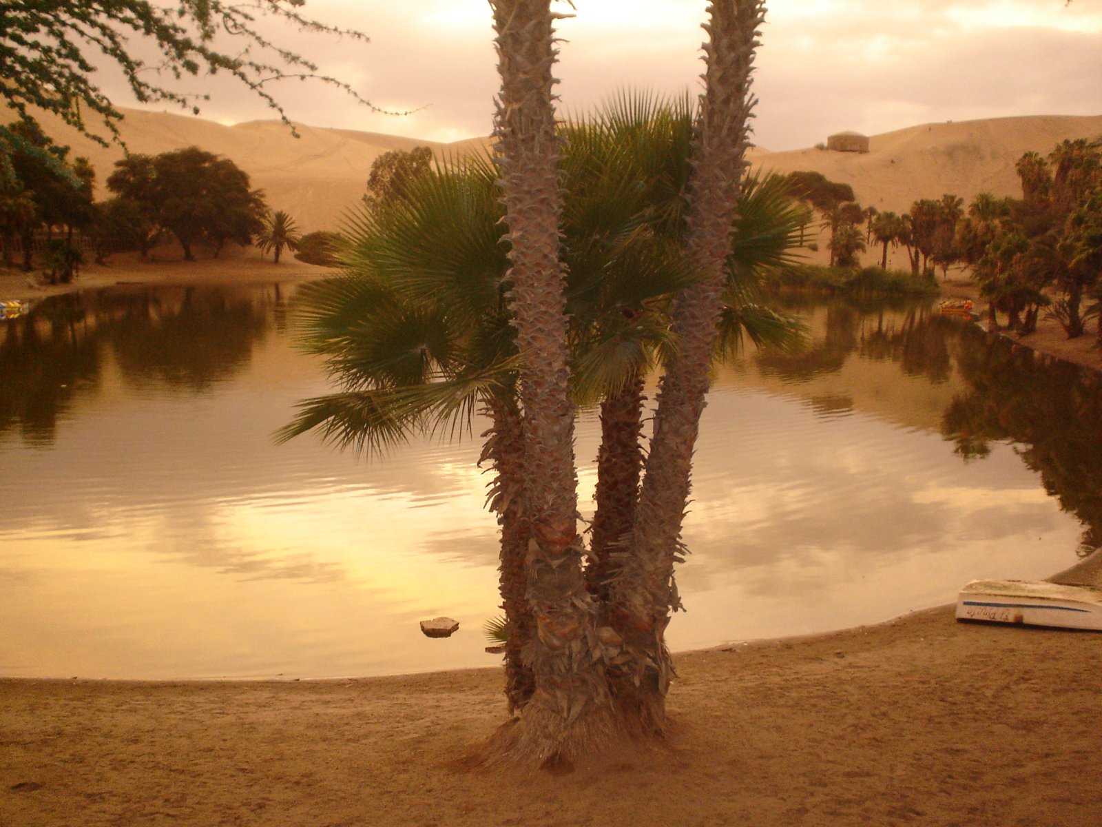 Escondite en un pequeño oasis rodeado de dunas en Huacachina, Perú
En el suroeste - Huacachina | Secret World Trip Planner